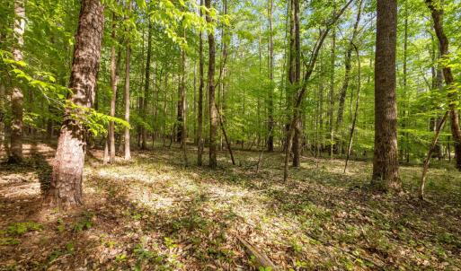 Photo #4 of 2a Union Grove Church, Chapel Hill, NC 5.0 acres