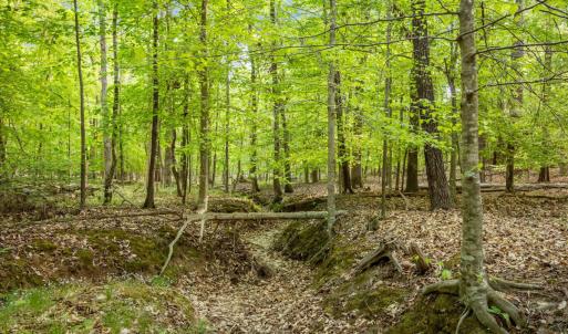 Photo #1 of 2a Union Grove Church, Chapel Hill, NC 5.0 acres