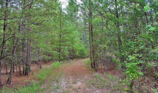 Photo #12 of 4656 Woodsdale, Roxboro, NC 103.0 acres