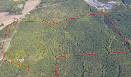 Photo #3 of 4656 Woodsdale, Roxboro, NC 103.0 acres