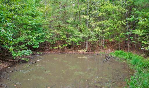 Photo #18 of 4656 Woodsdale, Roxboro, NC 103.0 acres