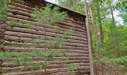 Photo #8 of 4656 Woodsdale, Roxboro, NC 103.0 acres