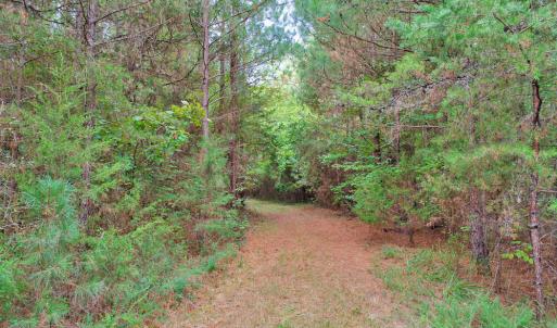 Photo #7 of 4656 Woodsdale, Roxboro, NC 103.0 acres