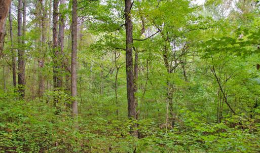 Photo #10 of 4656 Woodsdale, Roxboro, NC 103.0 acres