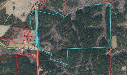Photo #6 of 4656 Woodsdale, Roxboro, NC 103.0 acres