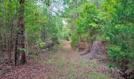 Photo #14 of 4656 Woodsdale, Roxboro, NC 103.0 acres