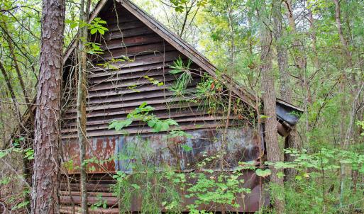 Photo #11 of 4656 Woodsdale, Roxboro, NC 103.0 acres