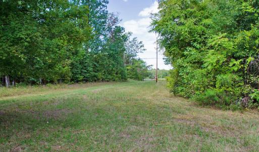 Photo #20 of 4656 Woodsdale, Roxboro, NC 103.0 acres