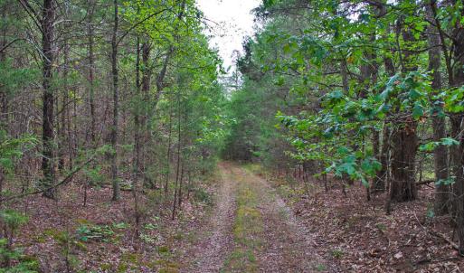 Photo #13 of 4656 Woodsdale, Roxboro, NC 103.0 acres