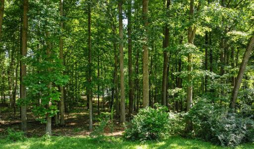 Photo #2 of 605 Canotage, Cedar Grove, NC 1.0 acres