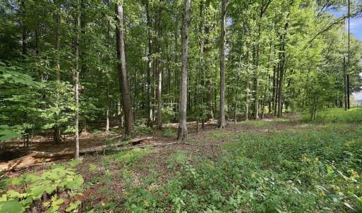 Photo #24 of 605 Canotage, Cedar Grove, NC 1.0 acres