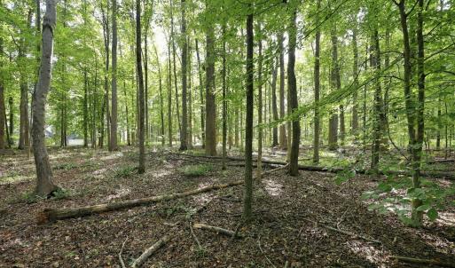 Photo #20 of 605 Canotage, Cedar Grove, NC 1.0 acres