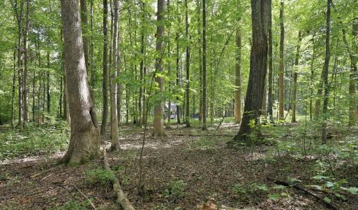 Photo #21 of 605 Canotage, Cedar Grove, NC 1.0 acres
