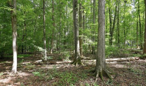Photo #23 of 605 Canotage, Cedar Grove, NC 1.0 acres