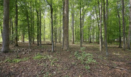 Photo #19 of 605 Canotage, Cedar Grove, NC 1.0 acres