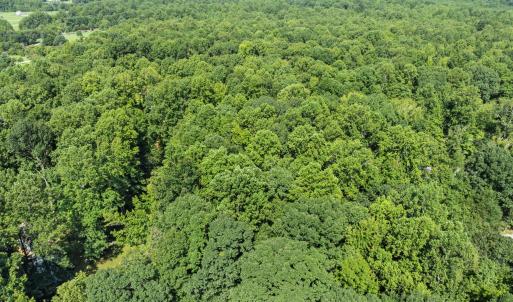 Photo #15 of 605 Canotage, Cedar Grove, NC 1.0 acres