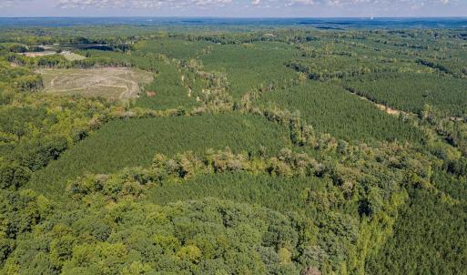 Photo #41 of Buckhorn, Sanford, NC 206.5 acres