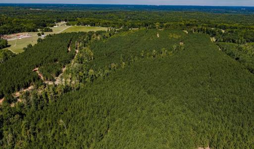 Photo #16 of Buckhorn, Sanford, NC 206.5 acres