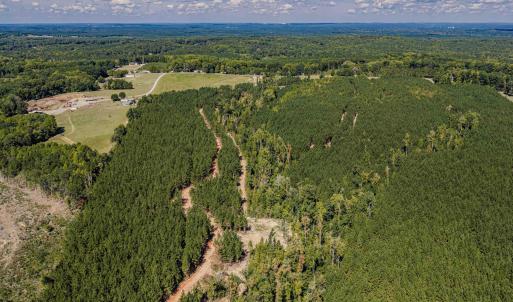 Photo #43 of Buckhorn, Sanford, NC 206.5 acres