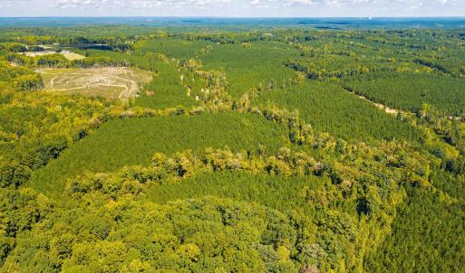 Photo #45 of Buckhorn, Sanford, NC 206.5 acres