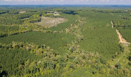Photo #42 of Buckhorn, Sanford, NC 206.5 acres