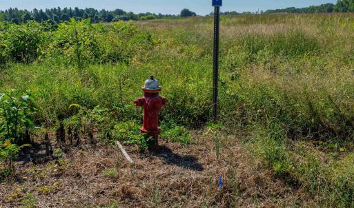 Photo #12 of Buckhorn, Sanford, NC 206.5 acres