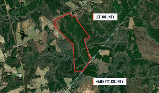 Photo #5 of Buckhorn, Sanford, NC 206.5 acres