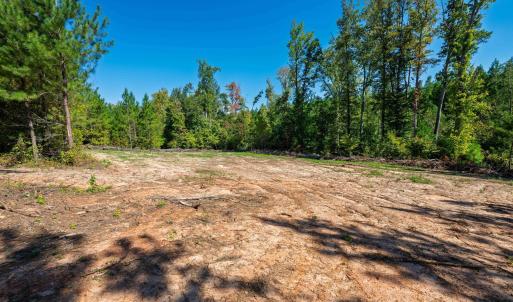 Photo #19 of Buckhorn, Sanford, NC 206.5 acres