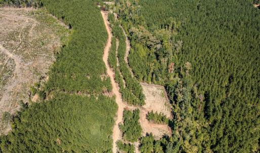 Photo #26 of Buckhorn, Sanford, NC 206.5 acres