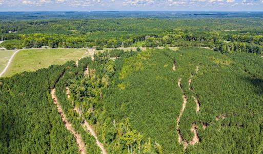 Photo #36 of Buckhorn, Sanford, NC 206.5 acres