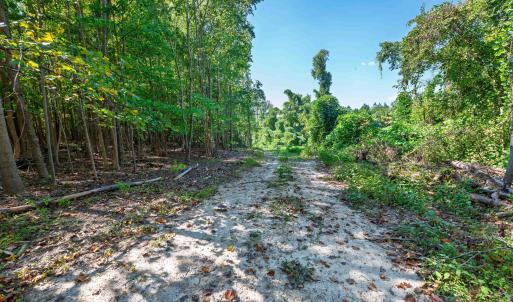 Photo #29 of Buckhorn, Sanford, NC 206.5 acres