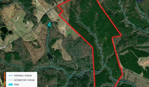 Photo #8 of Buckhorn, Sanford, NC 206.5 acres