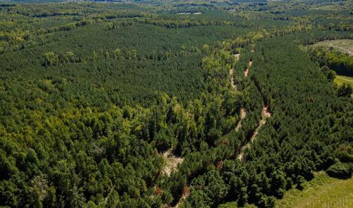 Photo #21 of Buckhorn, Sanford, NC 206.5 acres
