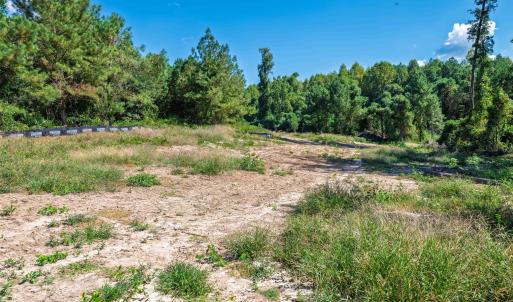 Photo #18 of Buckhorn, Sanford, NC 206.5 acres
