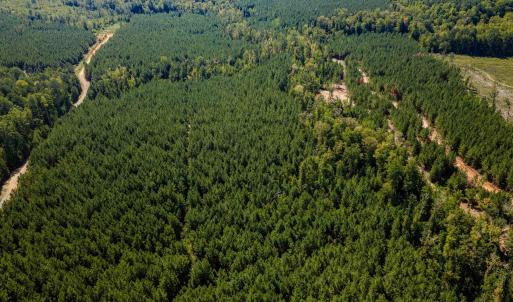 Photo #20 of Buckhorn, Sanford, NC 206.5 acres