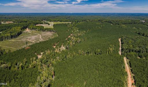 Photo #14 of Buckhorn, Sanford, NC 206.5 acres