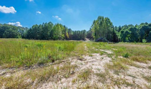 Photo #17 of Buckhorn, Sanford, NC 206.5 acres