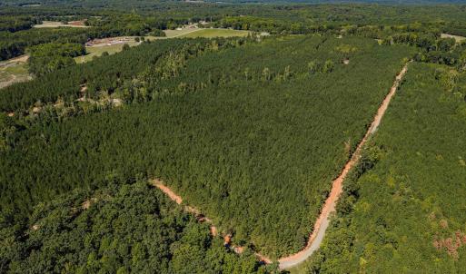 Photo #15 of Buckhorn, Sanford, NC 206.5 acres