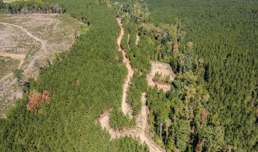 Photo #34 of Buckhorn, Sanford, NC 206.5 acres