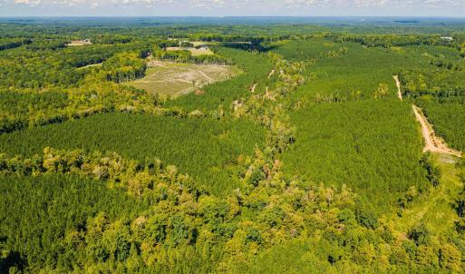 Photo #32 of Buckhorn, Sanford, NC 206.5 acres