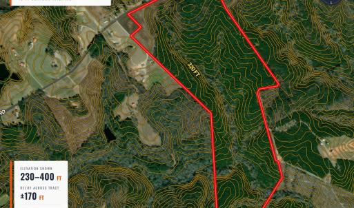 Photo #7 of Buckhorn, Sanford, NC 206.5 acres