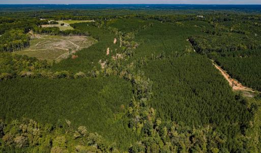 Photo #37 of Buckhorn, Sanford, NC 206.5 acres