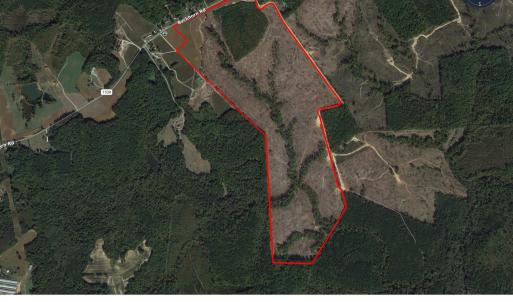 Photo #6 of Buckhorn, Sanford, NC 206.5 acres