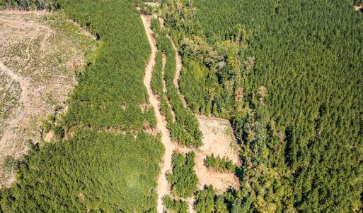 Photo #38 of Buckhorn, Sanford, NC 206.5 acres