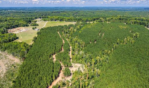 Photo #28 of Buckhorn, Sanford, NC 206.5 acres