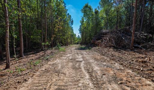 Photo #24 of Buckhorn, Sanford, NC 206.5 acres