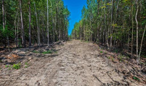 Photo #25 of Buckhorn, Sanford, NC 206.5 acres