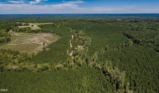 Photo #35 of Buckhorn, Sanford, NC 206.5 acres