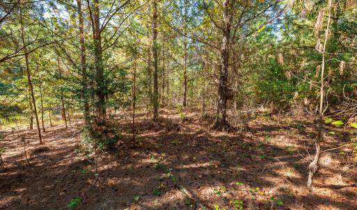 Photo #33 of Buckhorn, Sanford, NC 206.5 acres