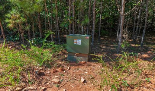 Photo #11 of Buckhorn, Sanford, NC 206.5 acres